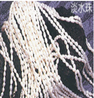 200812301453.jpg